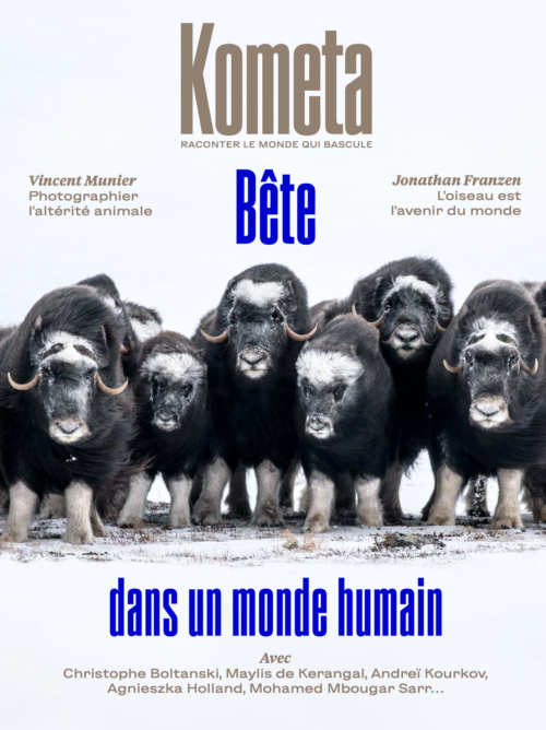 Kometa