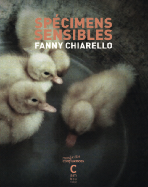 																Fanny Chiarello, Spécimens sensibles